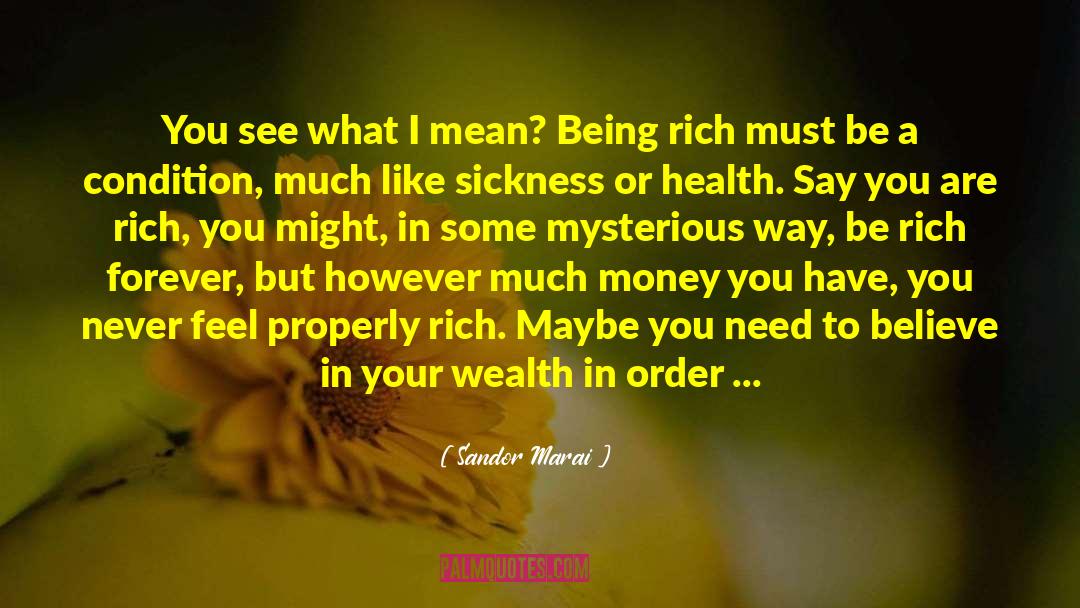 Being Rich quotes by Sandor Marai