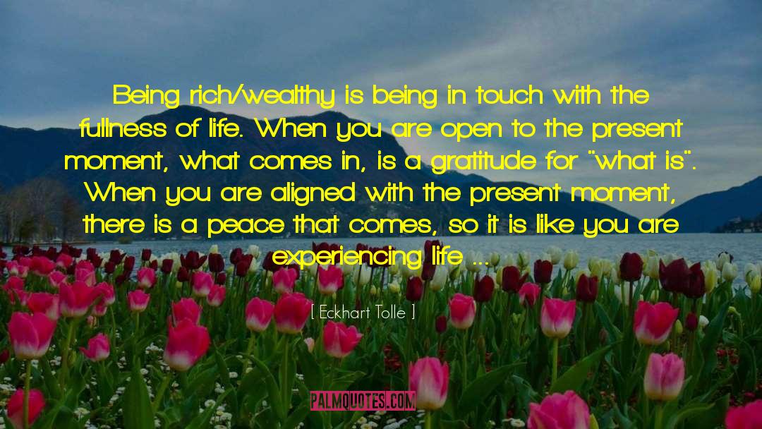 Being Rich quotes by Eckhart Tolle