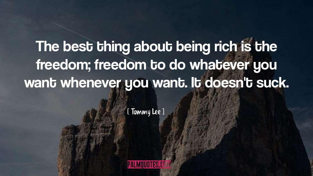 Being Rich quotes by Tommy Lee