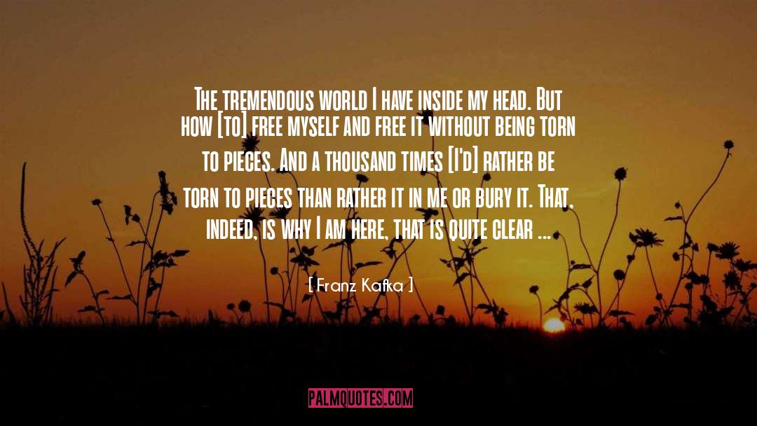 Being Saved quotes by Franz Kafka