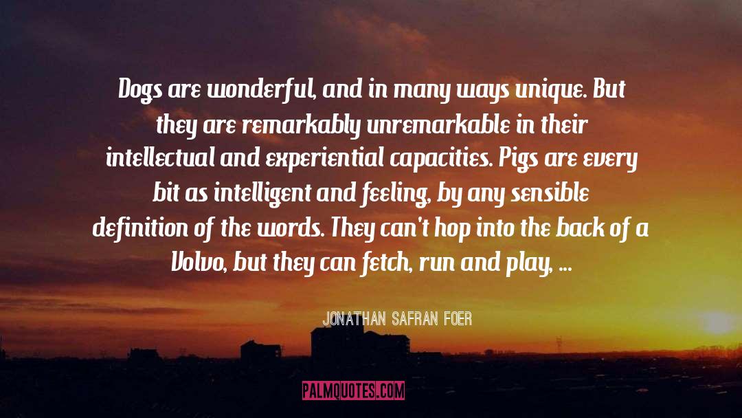 Being Scorned quotes by Jonathan Safran Foer