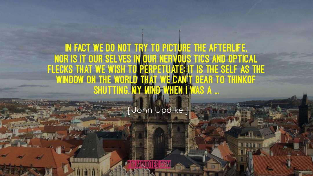 Being Selfish In Love quotes by John Updike