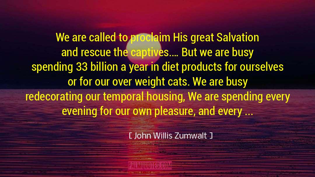 Being Serious quotes by John Willis Zumwalt