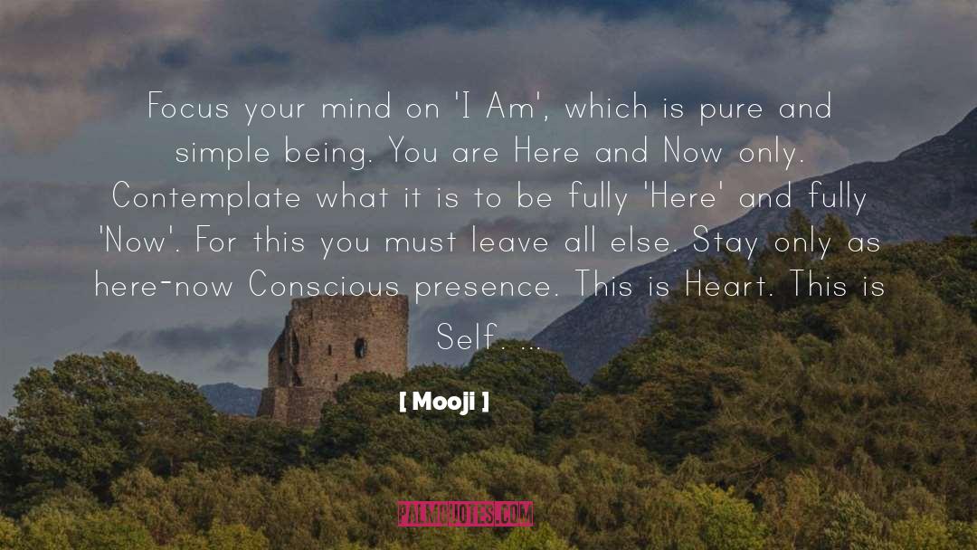 Being Serious quotes by Mooji