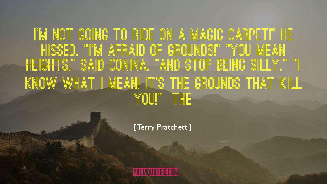 Being Silly quotes by Terry Pratchett