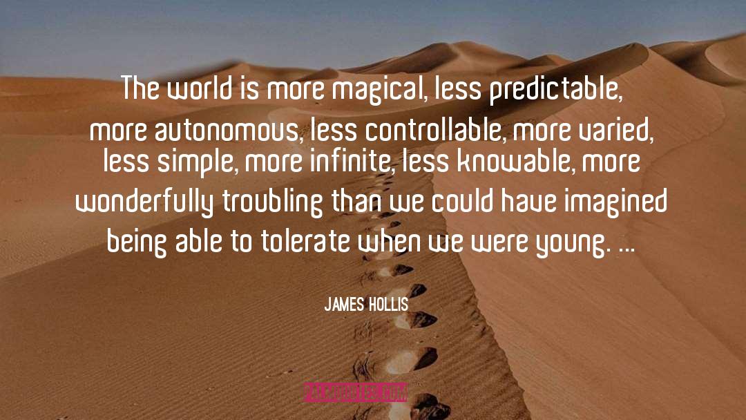 Being Simple Beauty quotes by James Hollis