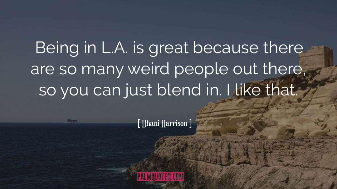 Being Socialite quotes by Dhani Harrison