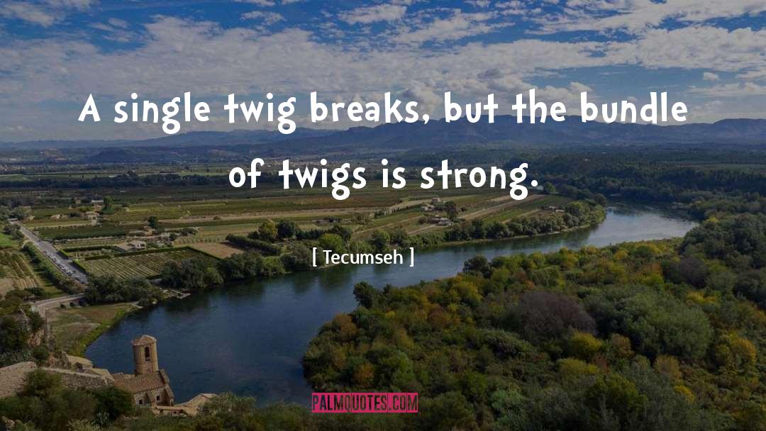 Being Strong quotes by Tecumseh