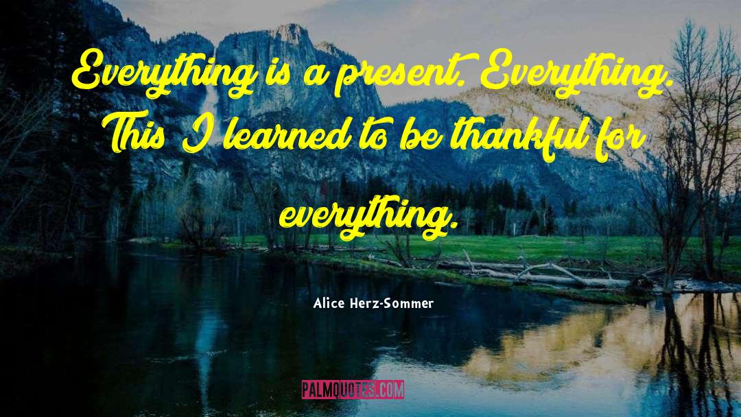 Being Thankful Despite Circumstances quotes by Alice Herz-Sommer