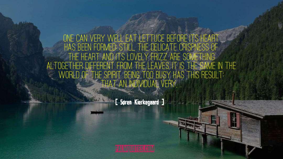 Being Too Busy quotes by Søren Kierkegaard