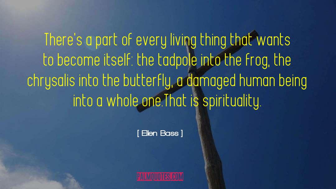 Being Touched quotes by Ellen Bass