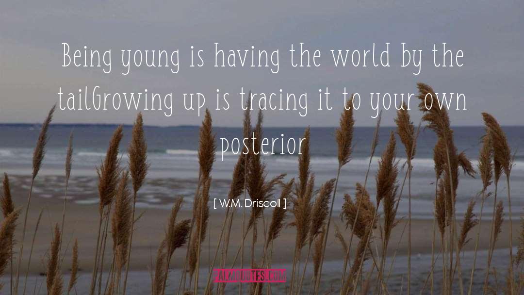 Being Young quotes by W.M. Driscoll