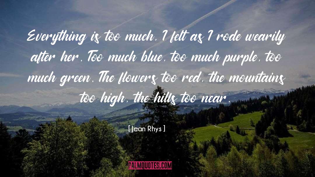 Belens Flowers quotes by Jean Rhys