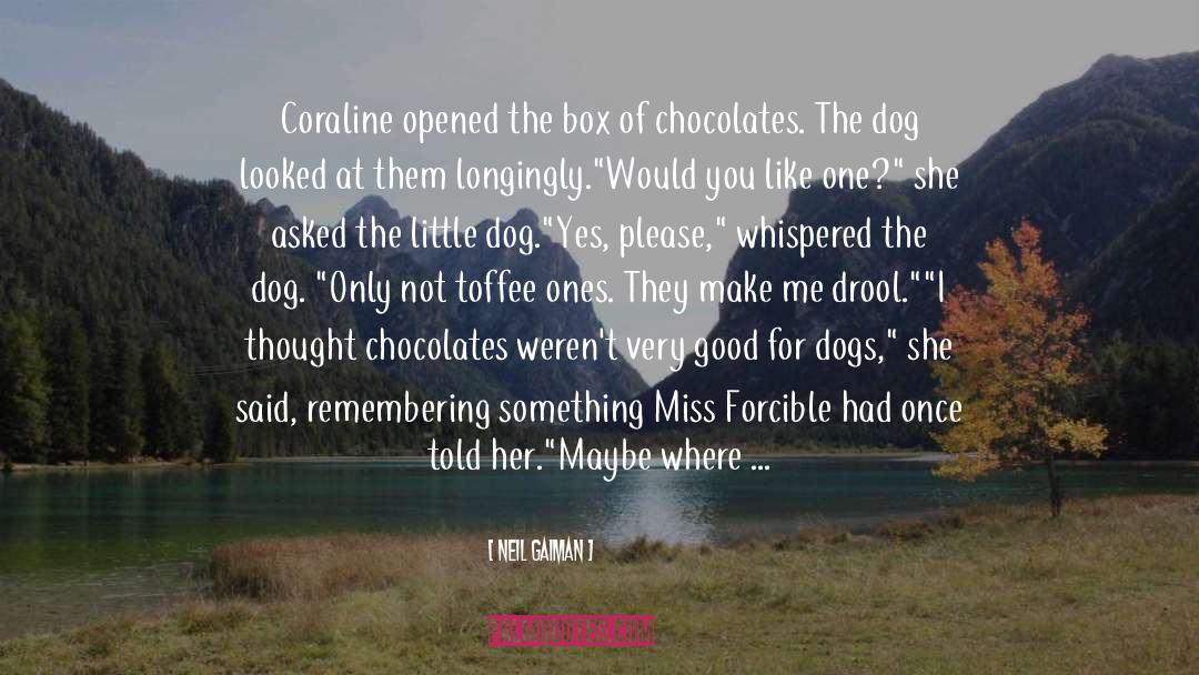 Belgian Chocolates quotes by Neil Gaiman