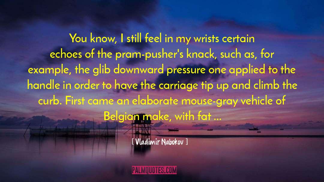 Belgian quotes by Vladimir Nabokov