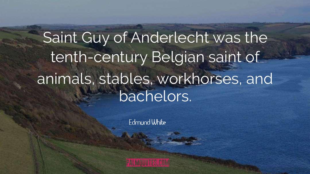 Belgian quotes by Edmund White