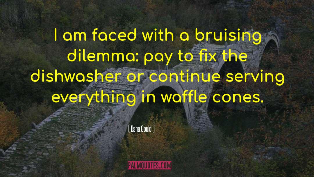 Belgian Waffles quotes by Dana Gould