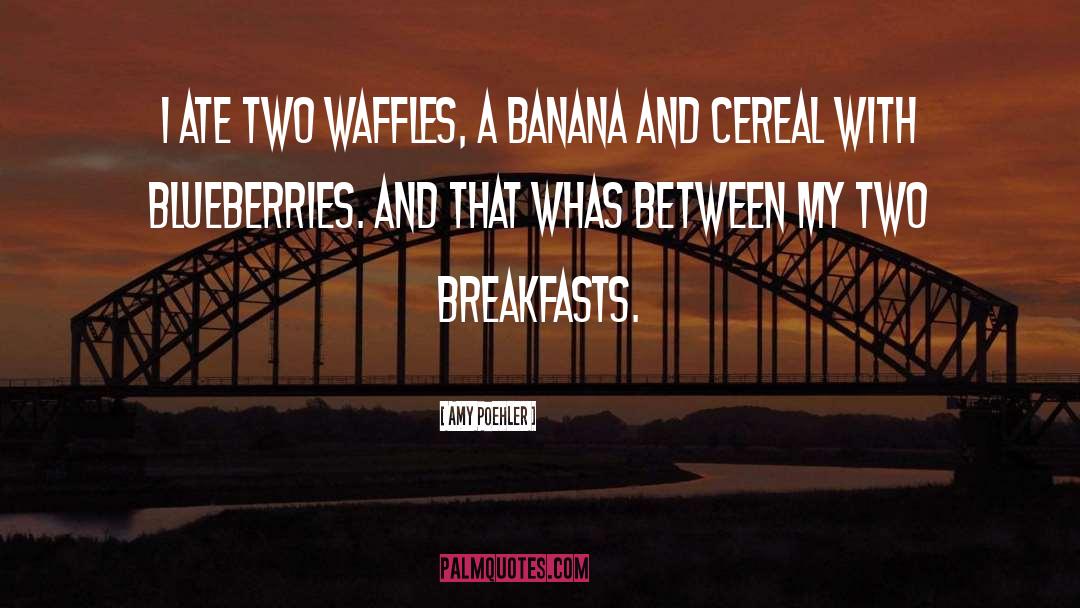 Belgian Waffles quotes by Amy Poehler