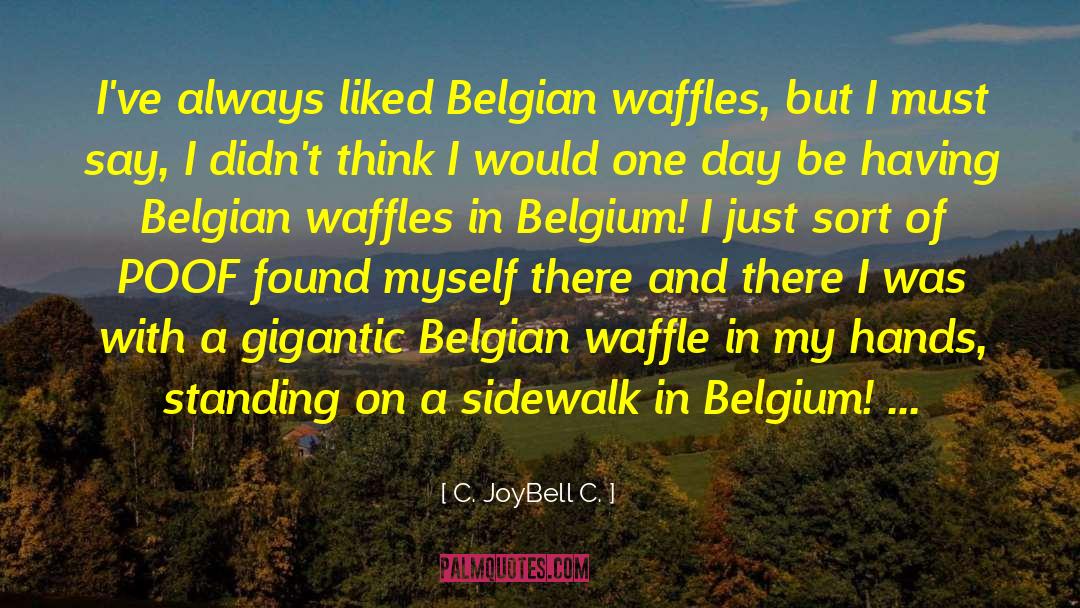 Belgium quotes by C. JoyBell C.