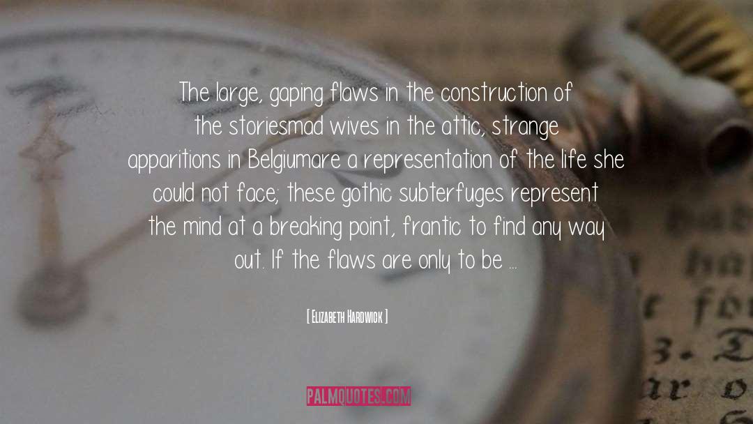 Belgium quotes by Elizabeth Hardwick