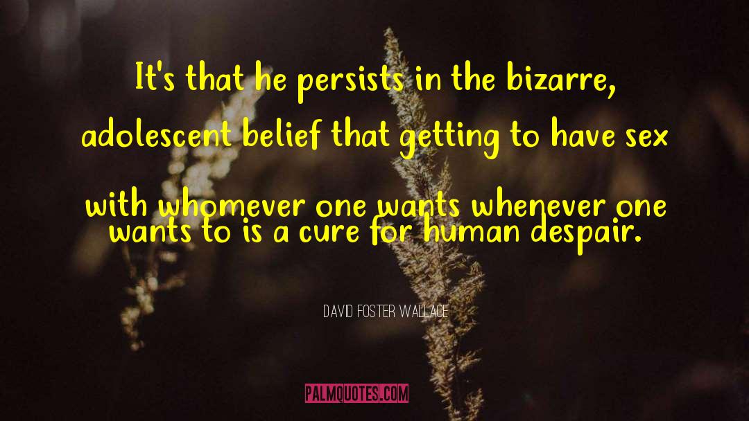 Belief Energy quotes by David Foster Wallace