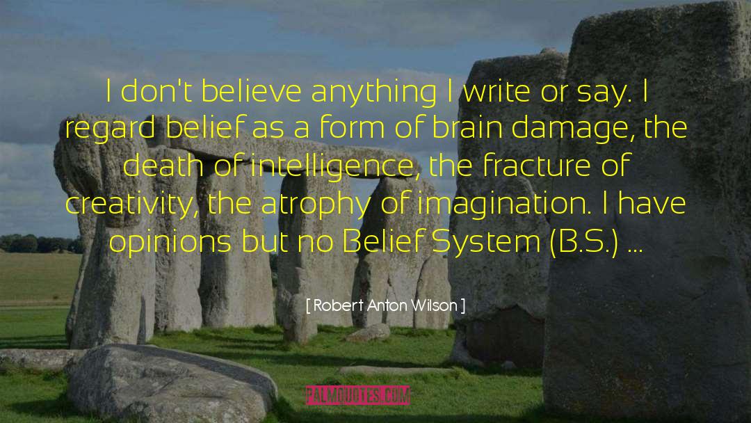 Belief System quotes by Robert Anton Wilson