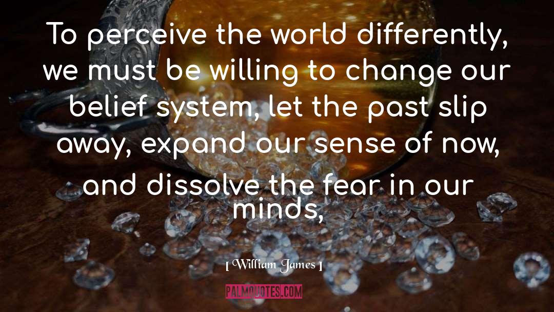 Belief Systems quotes by William James