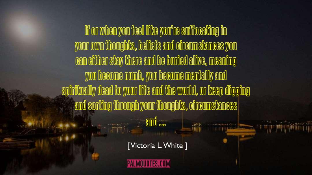 Beliefs In Yourself quotes by Victoria L. White