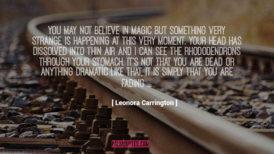 Believe In Magic quotes by Leonora Carrington