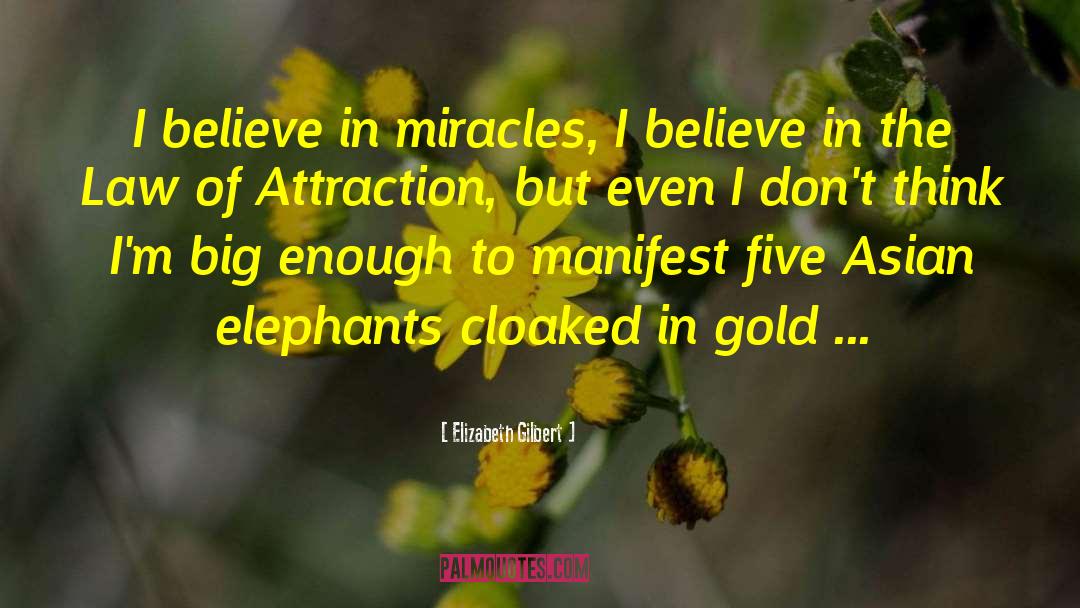 Believe In Miracles quotes by Elizabeth Gilbert