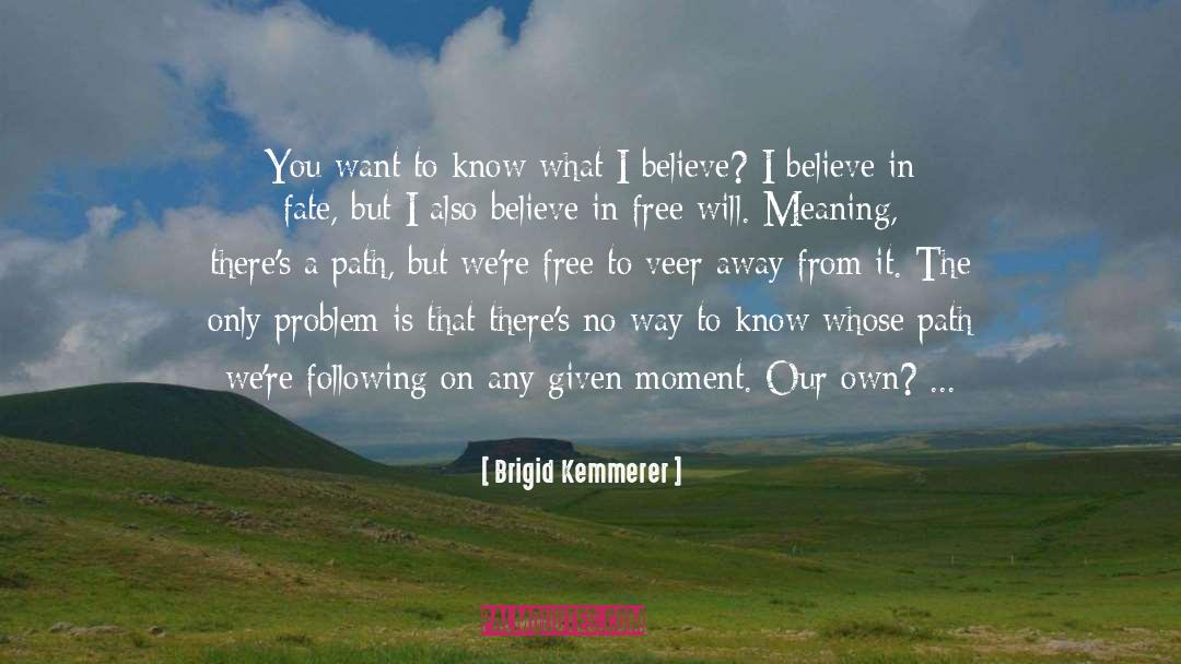 Believe In quotes by Brigid Kemmerer