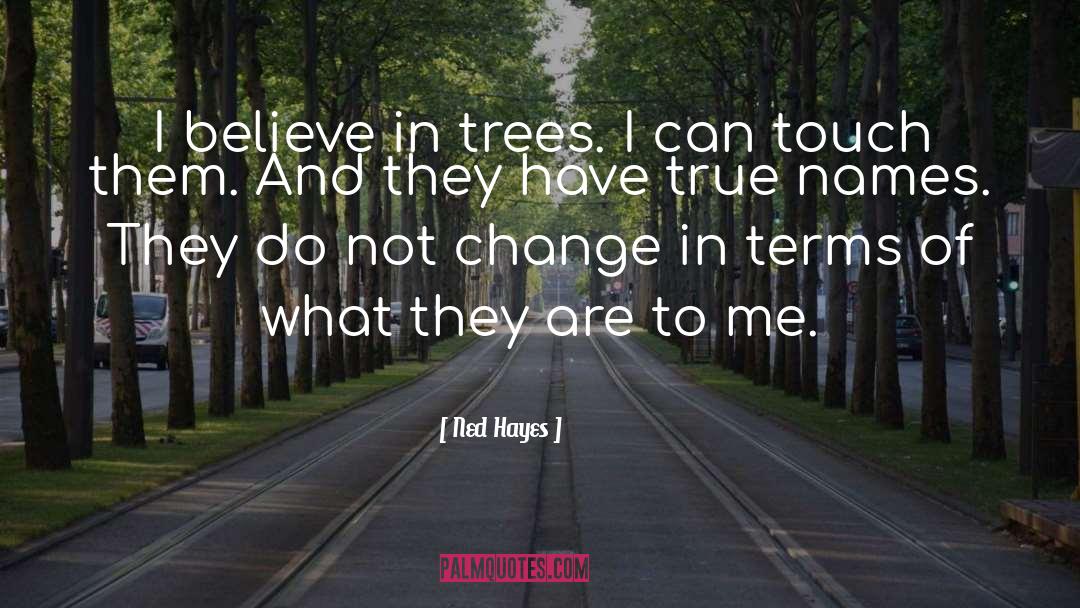 Believe Receive quotes by Ned Hayes