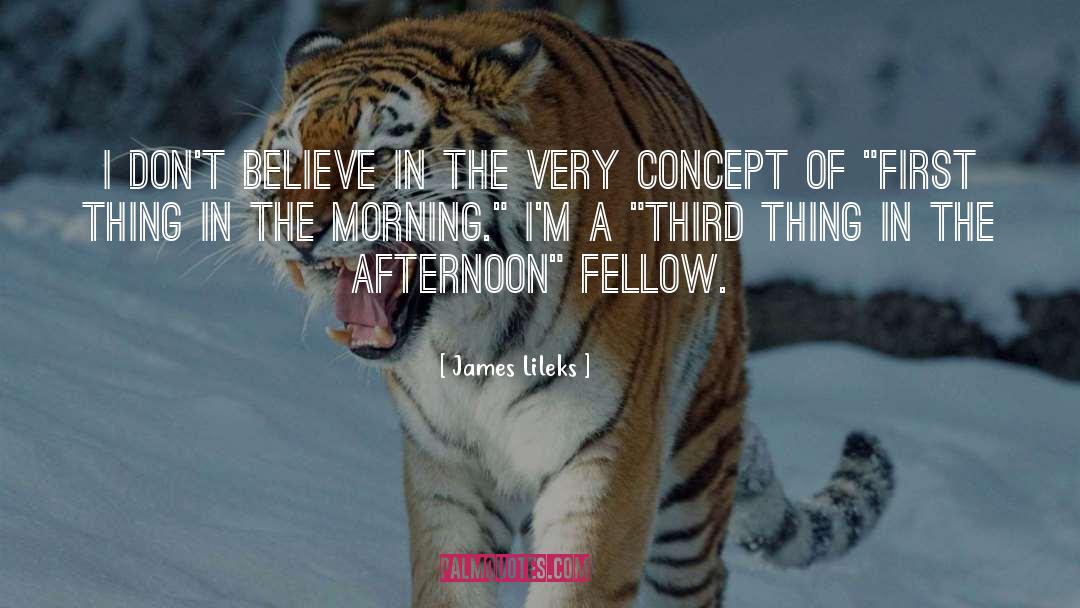 Believe Tunnel quotes by James Lileks