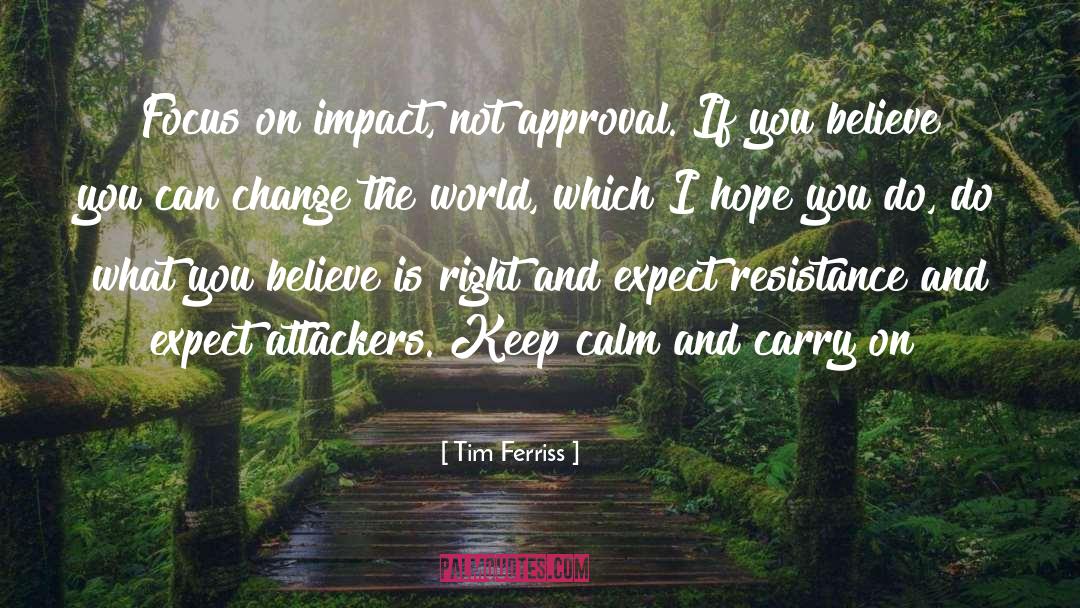 Believe You Can quotes by Tim Ferriss