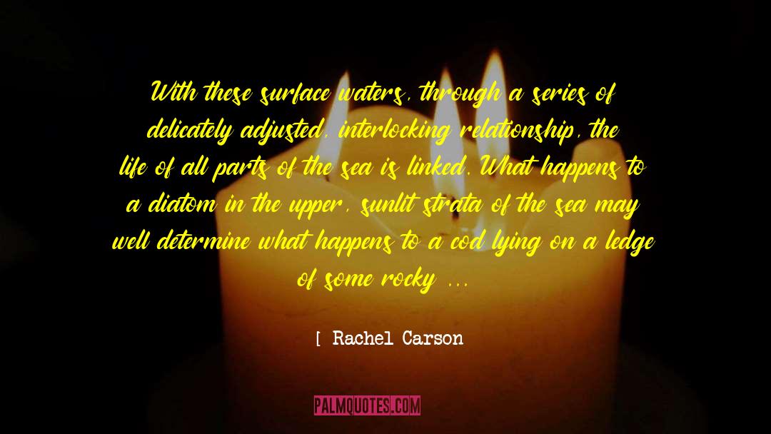 Believer Of Butterfly Effect quotes by Rachel Carson