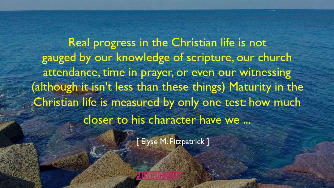Believer Test quotes by Elyse M. Fitzpatrick