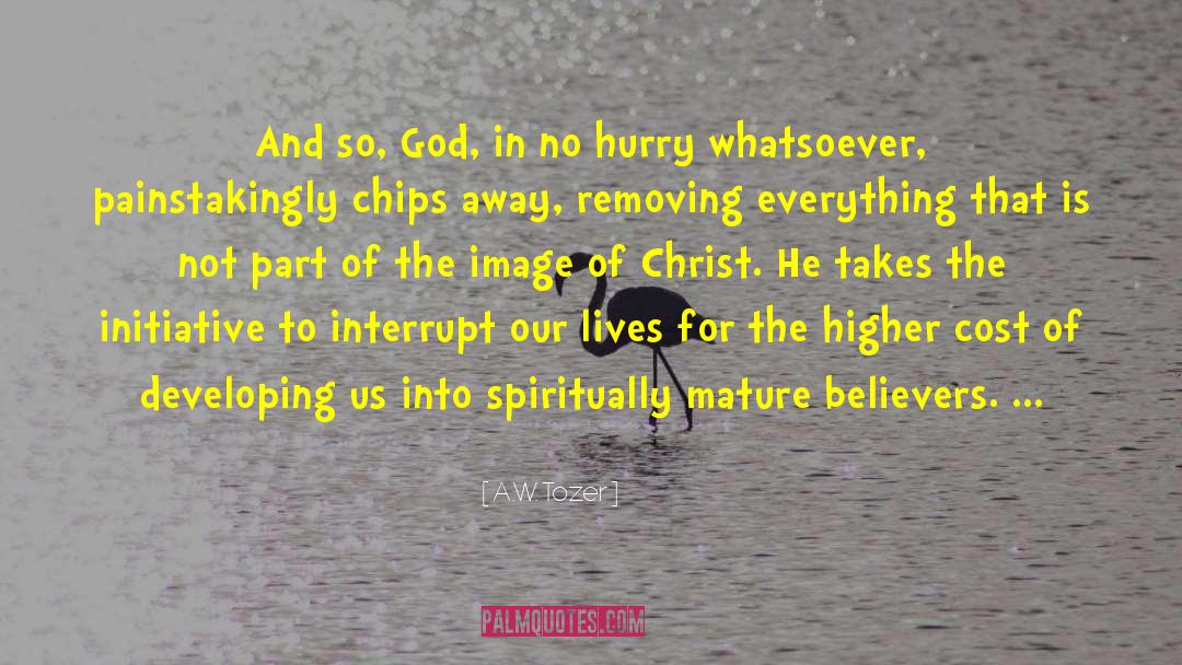 Believers quotes by A.W. Tozer