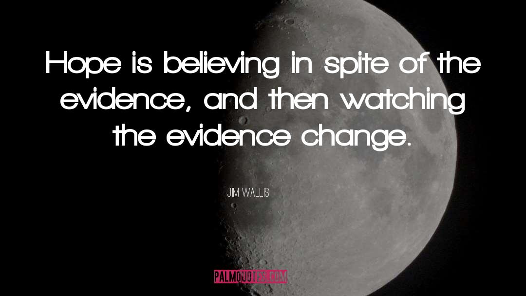 Believing And Achieving quotes by Jim Wallis