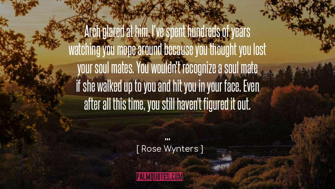 Believing In Love quotes by Rose Wynters