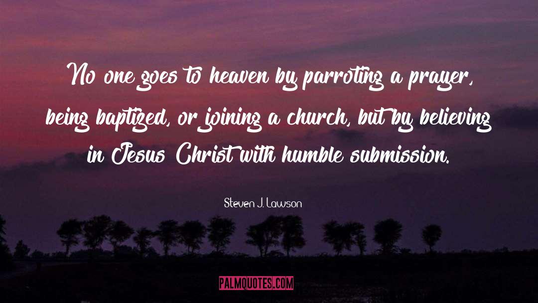 Believing In Miracles quotes by Steven J. Lawson
