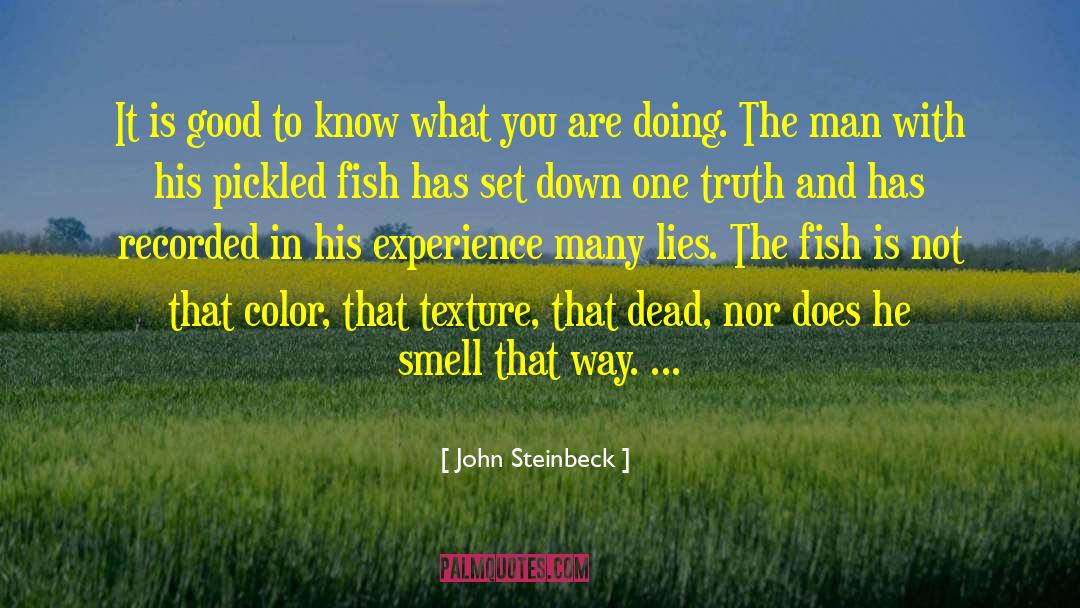 Believing In Truth quotes by John Steinbeck