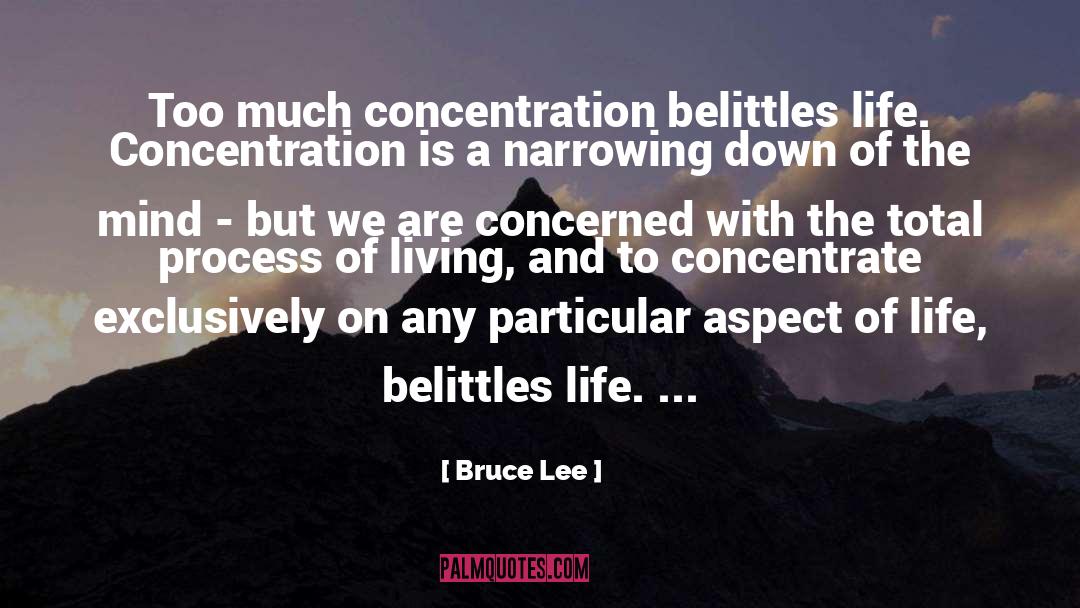 Belittles quotes by Bruce Lee