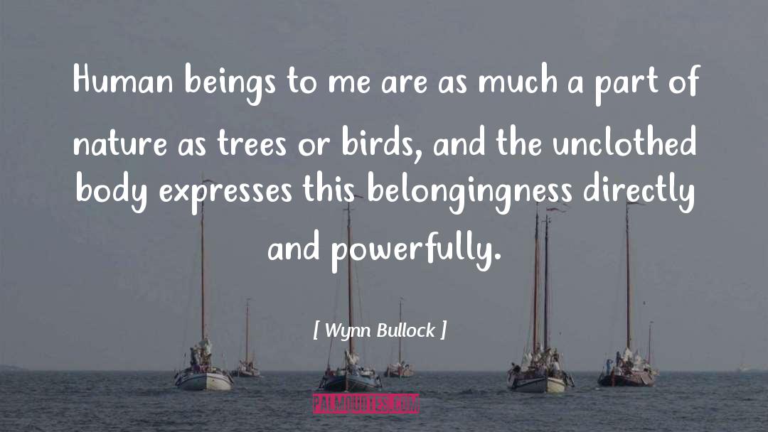 Belongingness quotes by Wynn Bullock