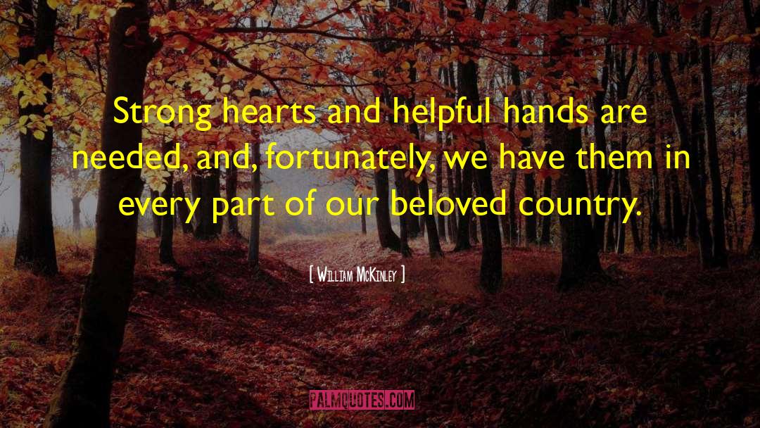 Beloved Country quotes by William McKinley