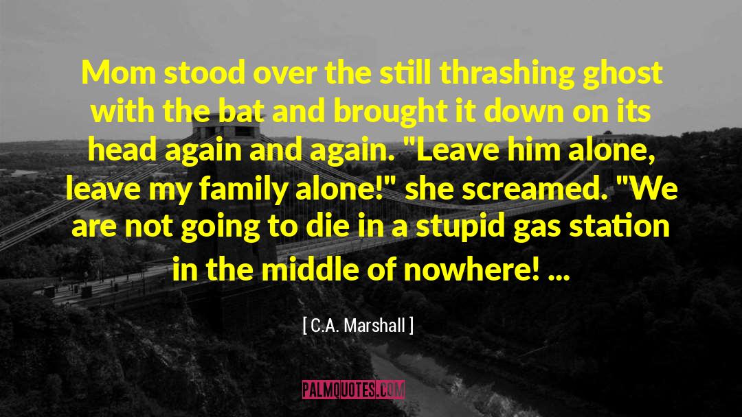 Beloved Family quotes by C.A. Marshall
