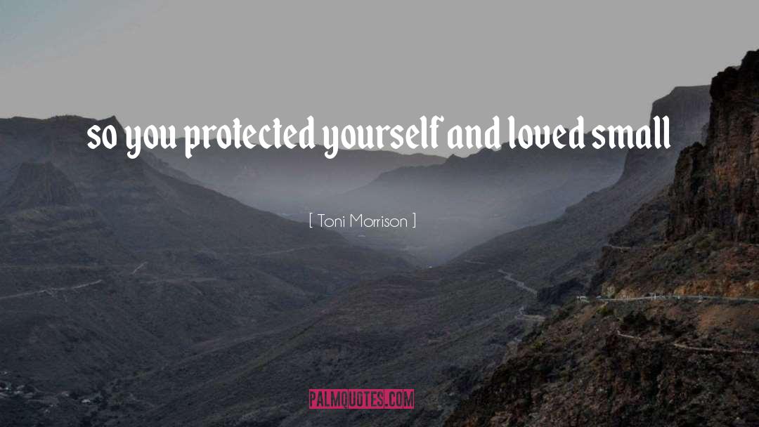 Beloved Family quotes by Toni Morrison