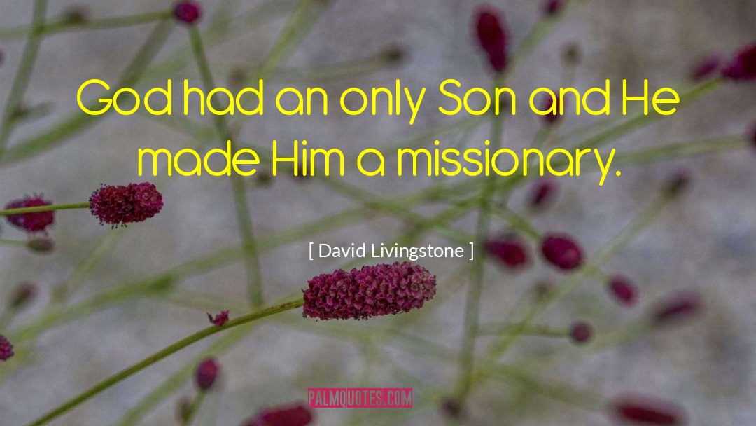 Beloved Son quotes by David Livingstone