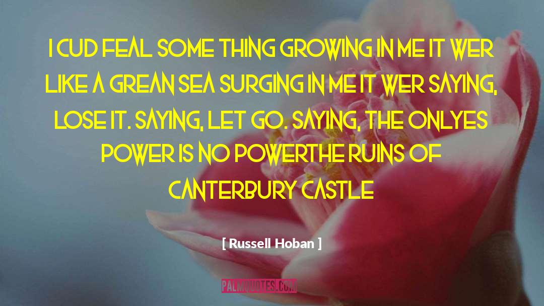 Belvoir Castle quotes by Russell Hoban