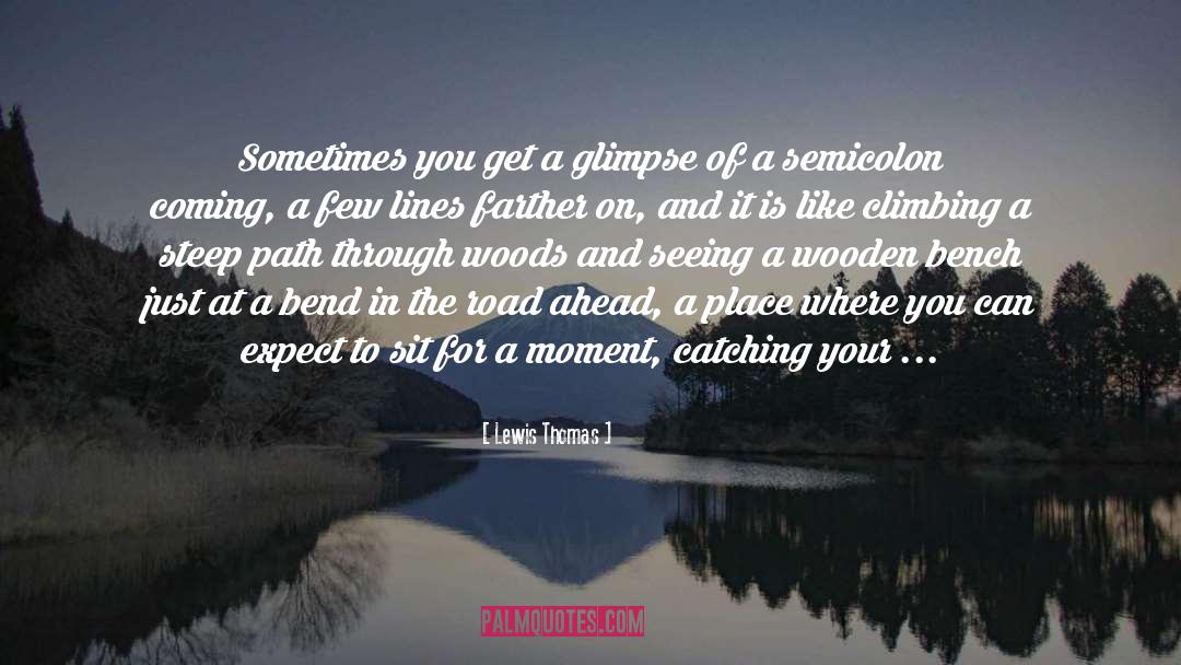 Benches quotes by Lewis Thomas