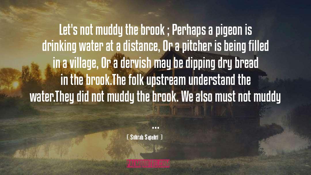 Bendayan Folk quotes by Sohrab Sepehri